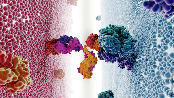 Bispecifics antibodies: The next big thing in lymphoma treatment